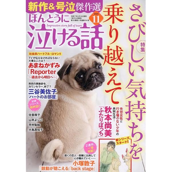 Amazon.co.jp: 15の愛情物語 2025年11月号 : メディアックス（編集）: 本